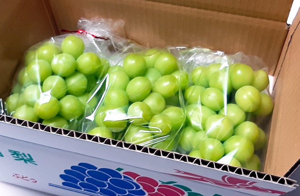 Shine Muscat Grapes From Japan Are Now Available On OISHII! | OISHII